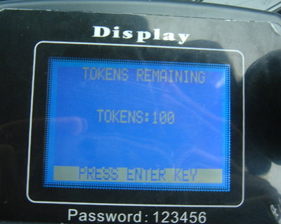 Tokens remaining: 100
