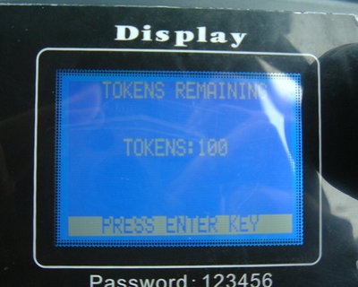 Remaining tokens: 100